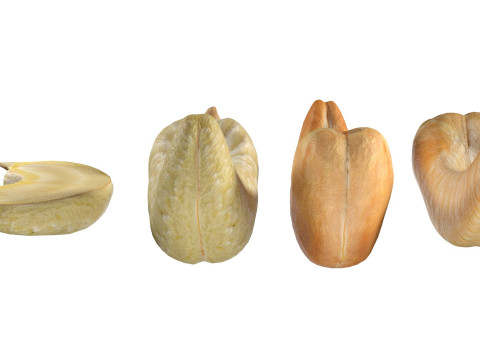 Cashew Nuts 3D-Modell