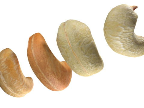 Cashew Nuts 3D-Modell