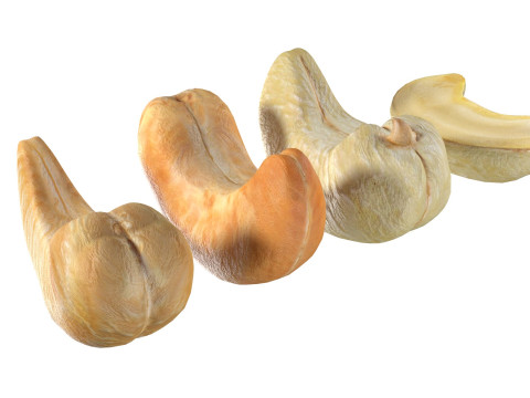 Cashew Nuts 3D-Modell