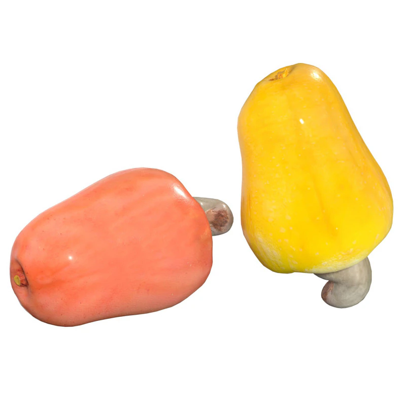 Cashew fruit 3D Model .c4d .max .obj .3ds .fbx .stl .blend 