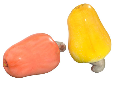 Cashew fruit Modelo 3D