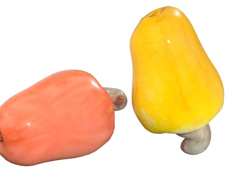 Cashew fruit 3D Model