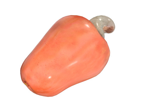 Cashew fruit Modelo 3D