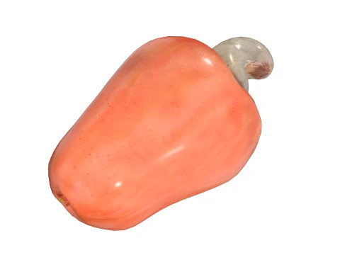 Cashew fruit 3D Model