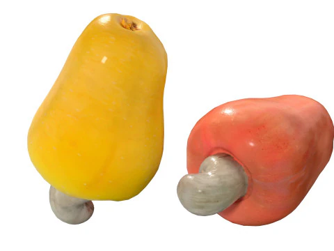 Cashew fruit 3D Model