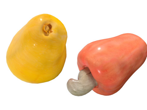 Cashew fruit Modelo 3D