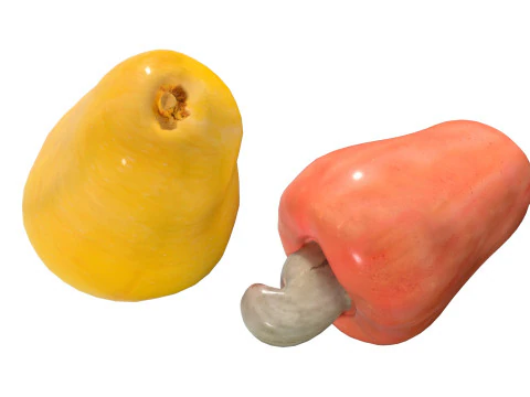 Cashew fruit 3D Model