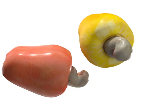 Cashew fruit 3D Model