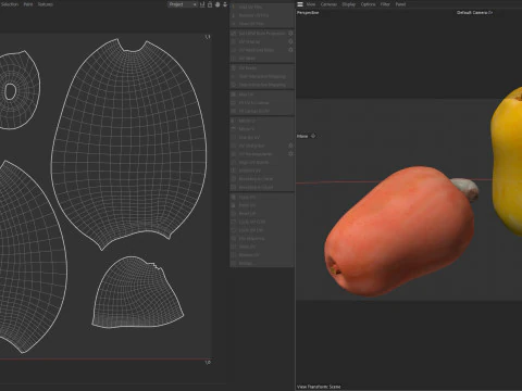 Cashew fruit 3D Model
