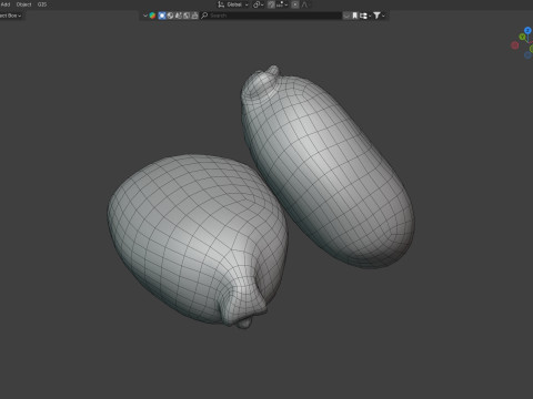 Caster seed Modelo 3D