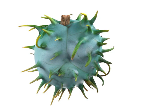 Caster seed fruit v1 3D Model