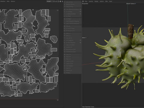 Caster seed fruit v2 3Dモデル