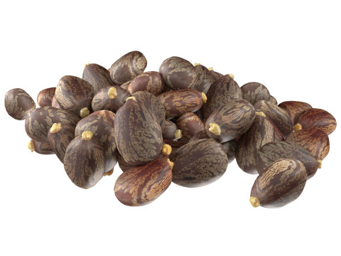 Caster seed pile Modelo 3D