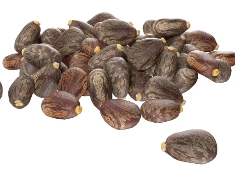 Caster seed pile 3D Model