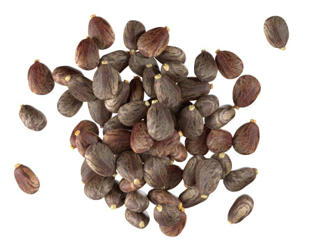 Caster seed pile 3D Model