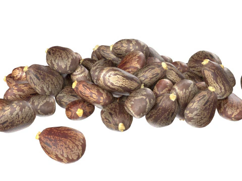 Caster seed pile 3D Model