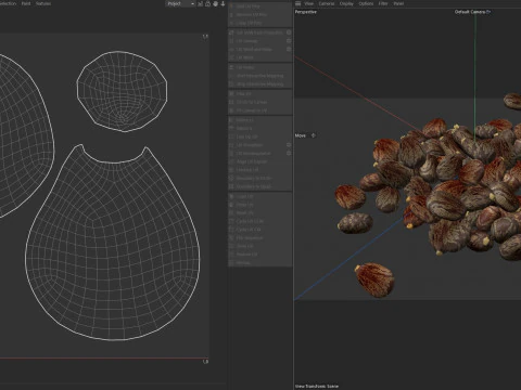 Caster seed pile 3D Model