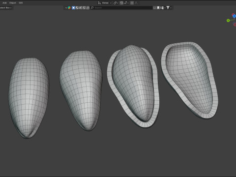 Cedar Nut Model 3D