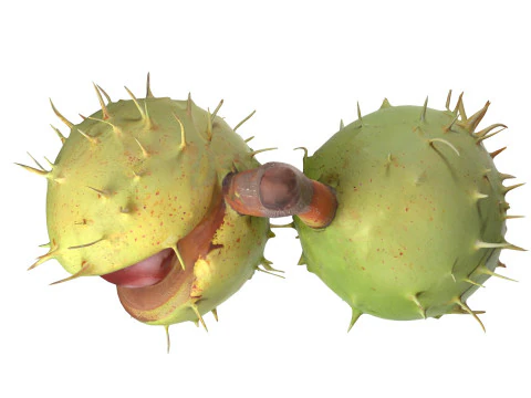 Chesnut green v2 3D Model