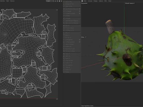 Chestnut green 3D Model