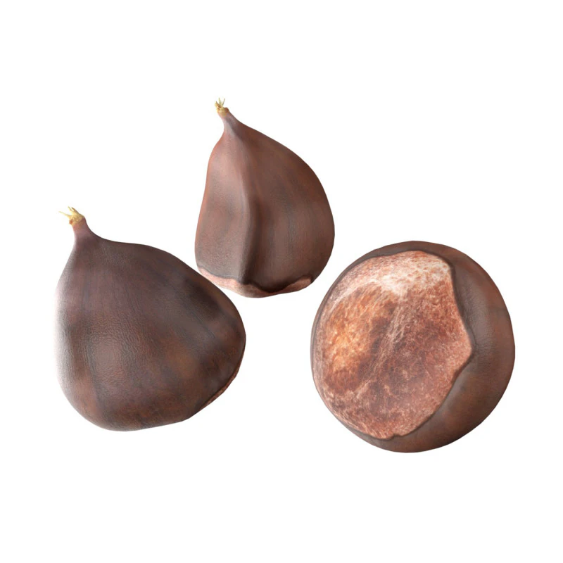 Chestnut kernel 3D Model .c4d .max .obj .3ds .fbx .stl .blend