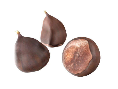 Chestnut kernel 3D Model