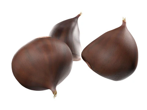 Chestnut kernel 3D Model