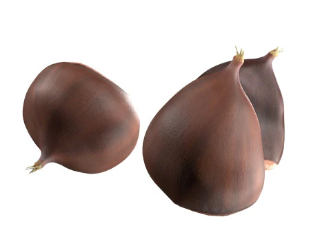 Chestnut kernel 3D Model