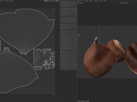 Chestnut kernel 3D Model