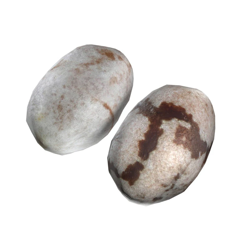 Chia seed 3D Model .c4d .max .obj .3ds .fbx .stl .blend 