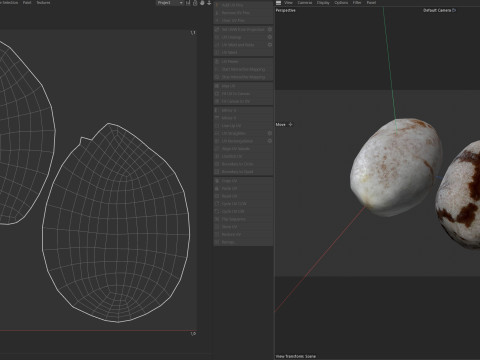 Chia seed 3Dモデル