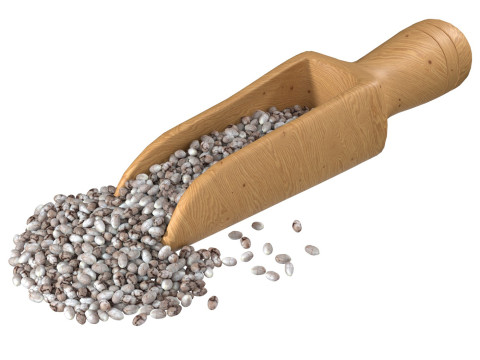 Chia seed scoop Modelo 3D