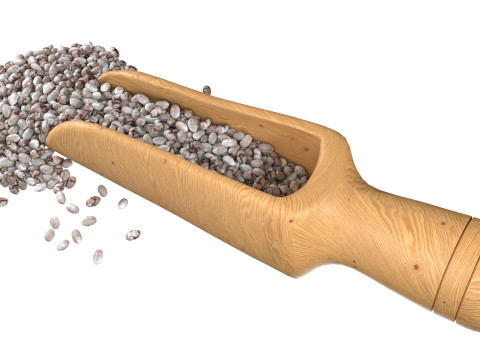 Chia seed scoop Modello 3D