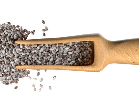 Chia seed scoop Modello 3D