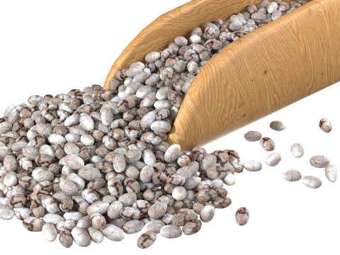 Chia seed scoop 3D Model