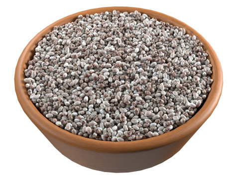 Chia Seeds Bowl Modello 3D