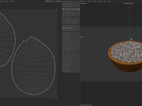 Chia Seeds Bowl Modello 3D