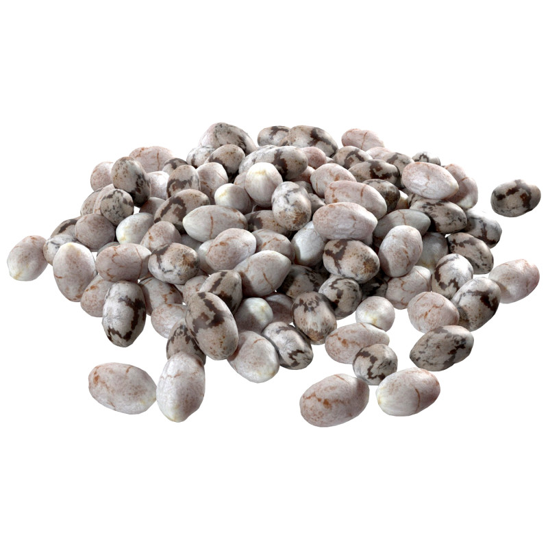 Chia seeds pile Modelo 3D .c4d .max .obj .3ds .fbx .stl .blend