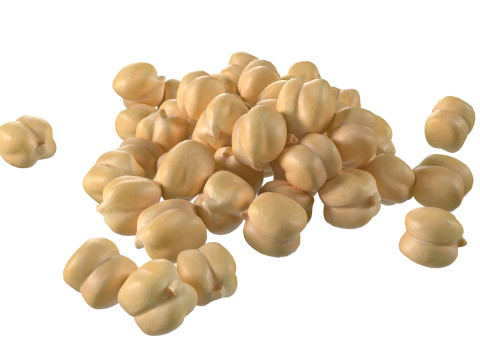 Chickpea pile 3D मॉडल