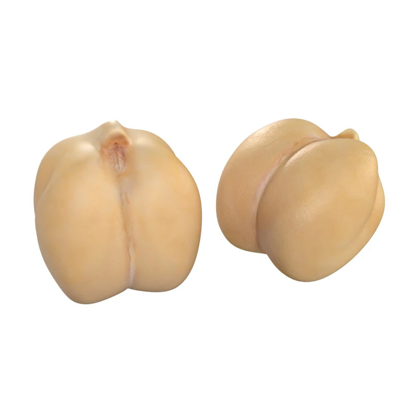 Chickpeas Beans 3D Model .c4d .max .obj .3ds .fbx .stl .blend 