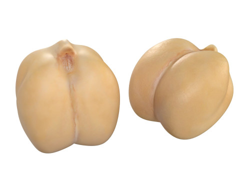 Chickpeas Beans 3D Model