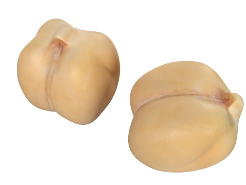 Chickpeas Beans 3D Model