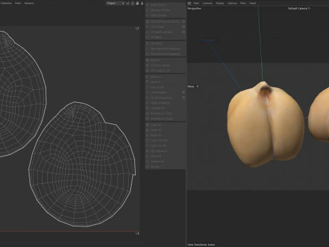 Chickpeas Beans 3D Model