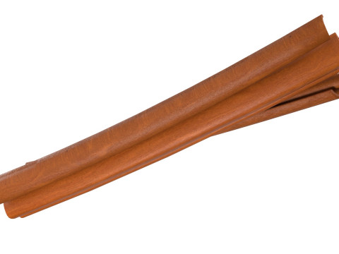Cinnamon Sticks 3D 模型