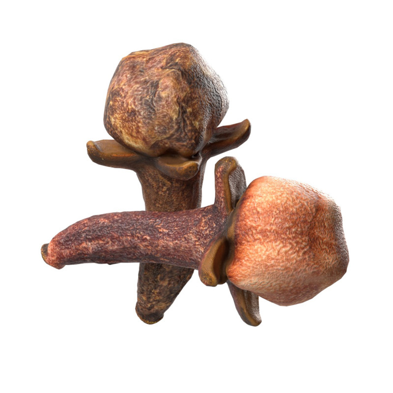 Cloves 3D 모델 .c4d .max .obj .3ds .fbx .stl .blend