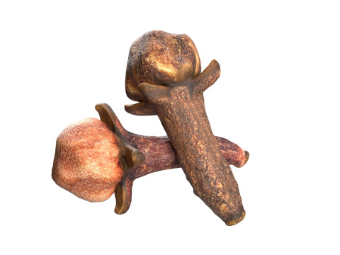 Cloves 3D 모델