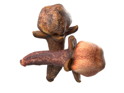 Cloves 3D 모델