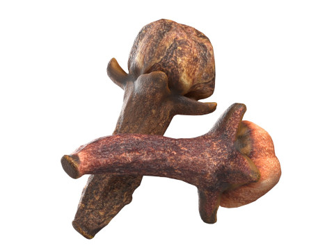 Cloves 3D 모델
