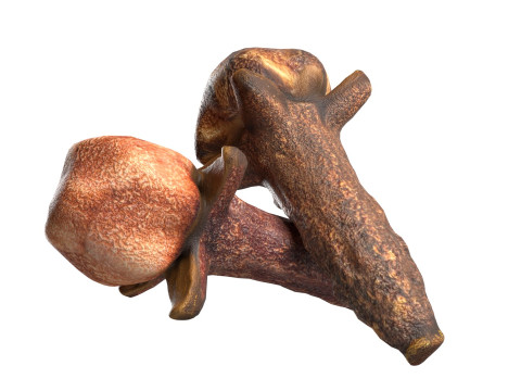 Cloves 3D 모델