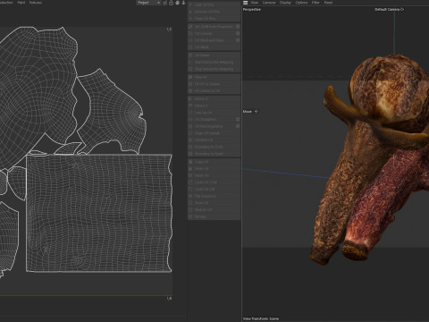 Cloves 3D 모델